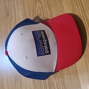 Patagonia Standard P-6 Logo LoPro Trucker Hat